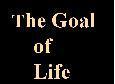 The goal of life is to determine the value of the DNA.